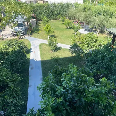 C Plus * Μπεράτ