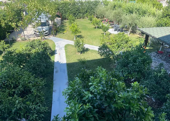 C Plus * Μπεράτ